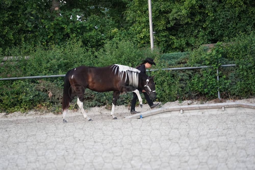 s_A9_05393.jpg